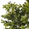 Boxwood & Berry Bush by Ashland®
